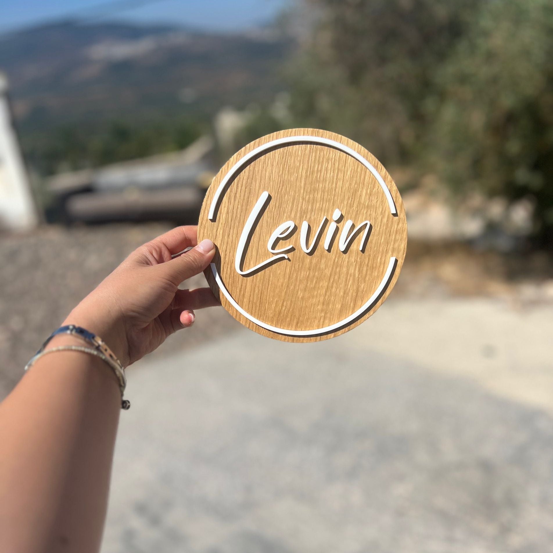 שלט לדלת | LEVIN
