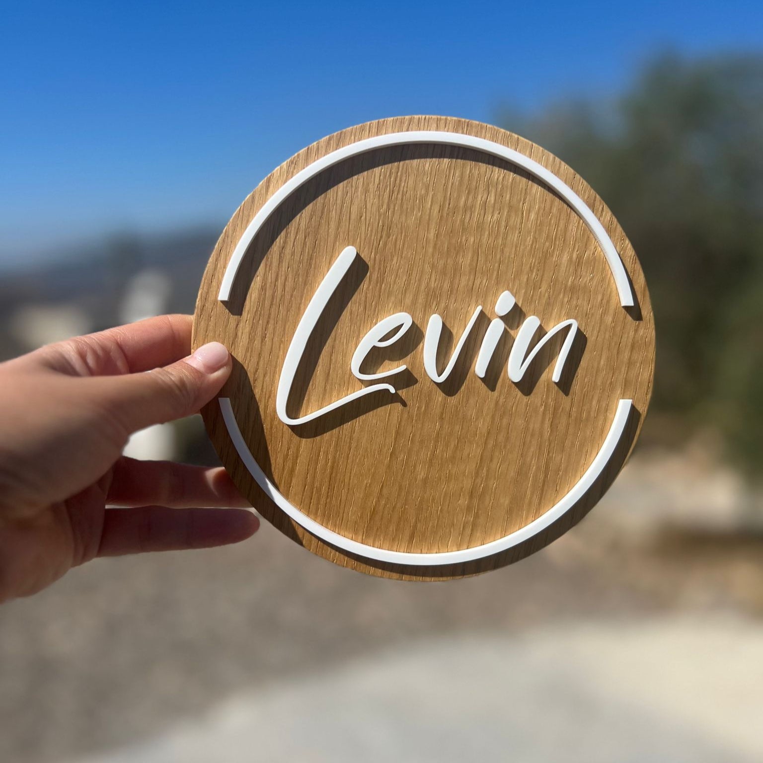 שלט לדלת | LEVIN