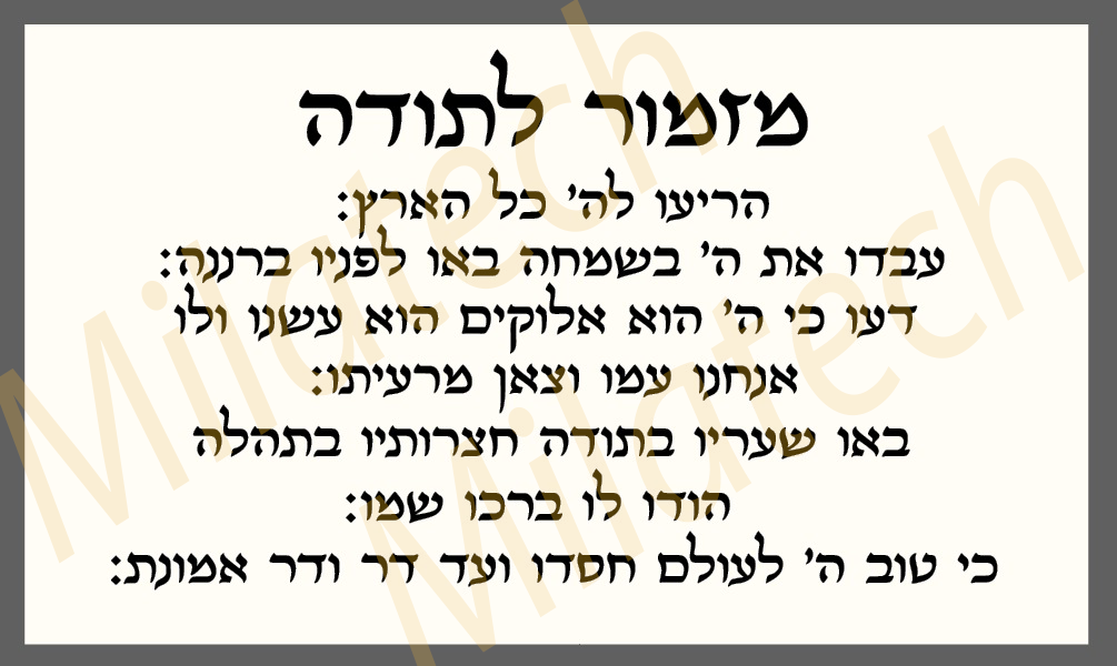 מזמור לתודה | אותיות בולטות | ליה-צבע שחור | ברכה