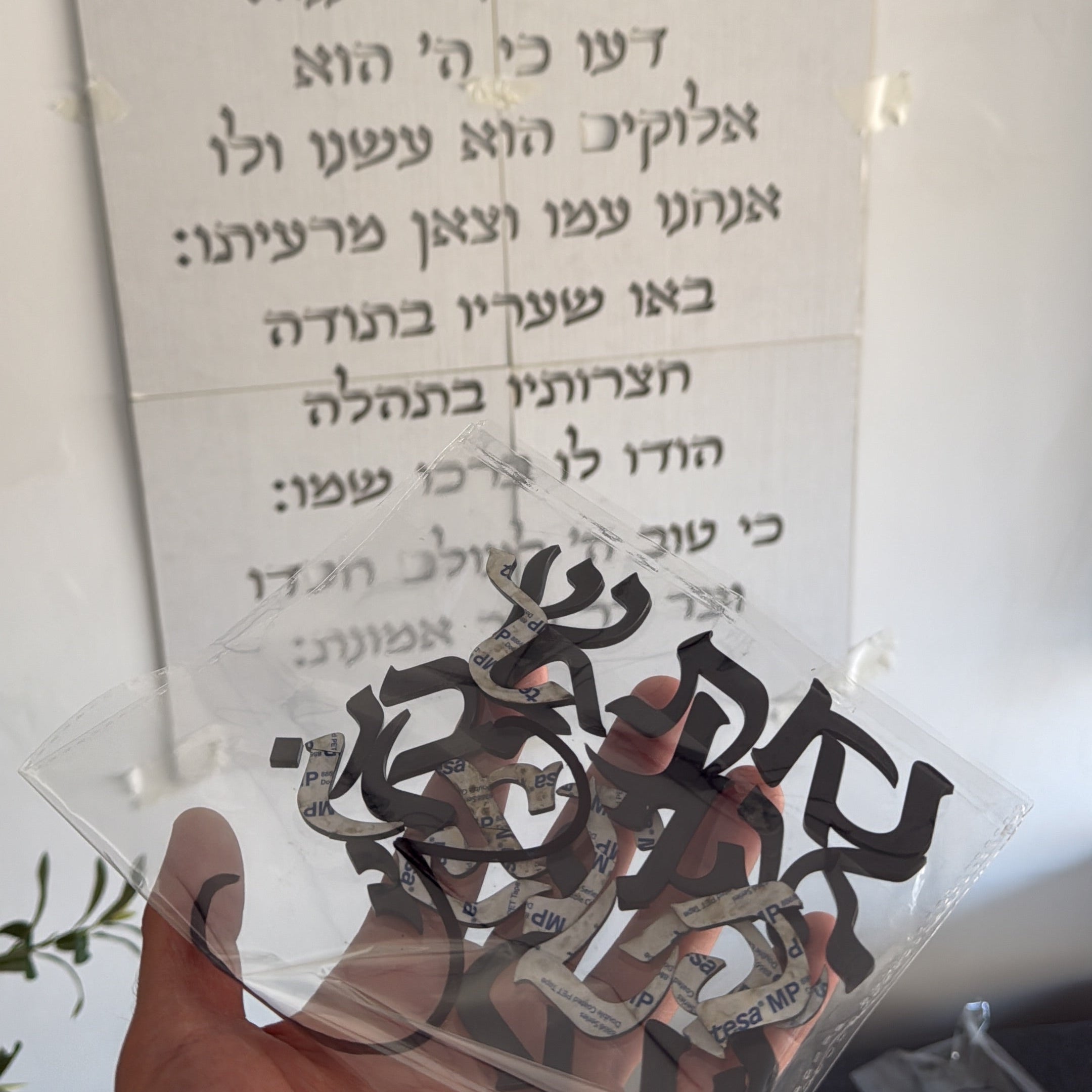 מזמור לתודה | אותיות בולטות | ליה-צבע שחור | ברכה