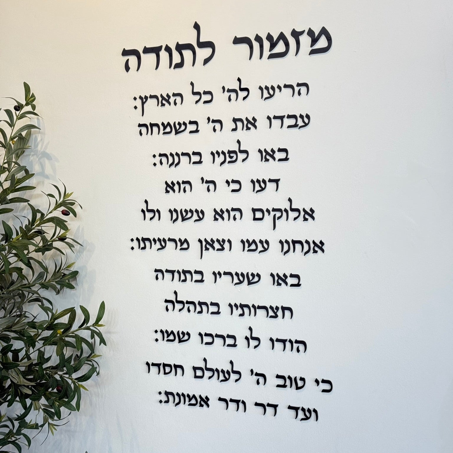 מזמור לתודה | אותיות בולטות | ליה-צבע שחור | ברכה