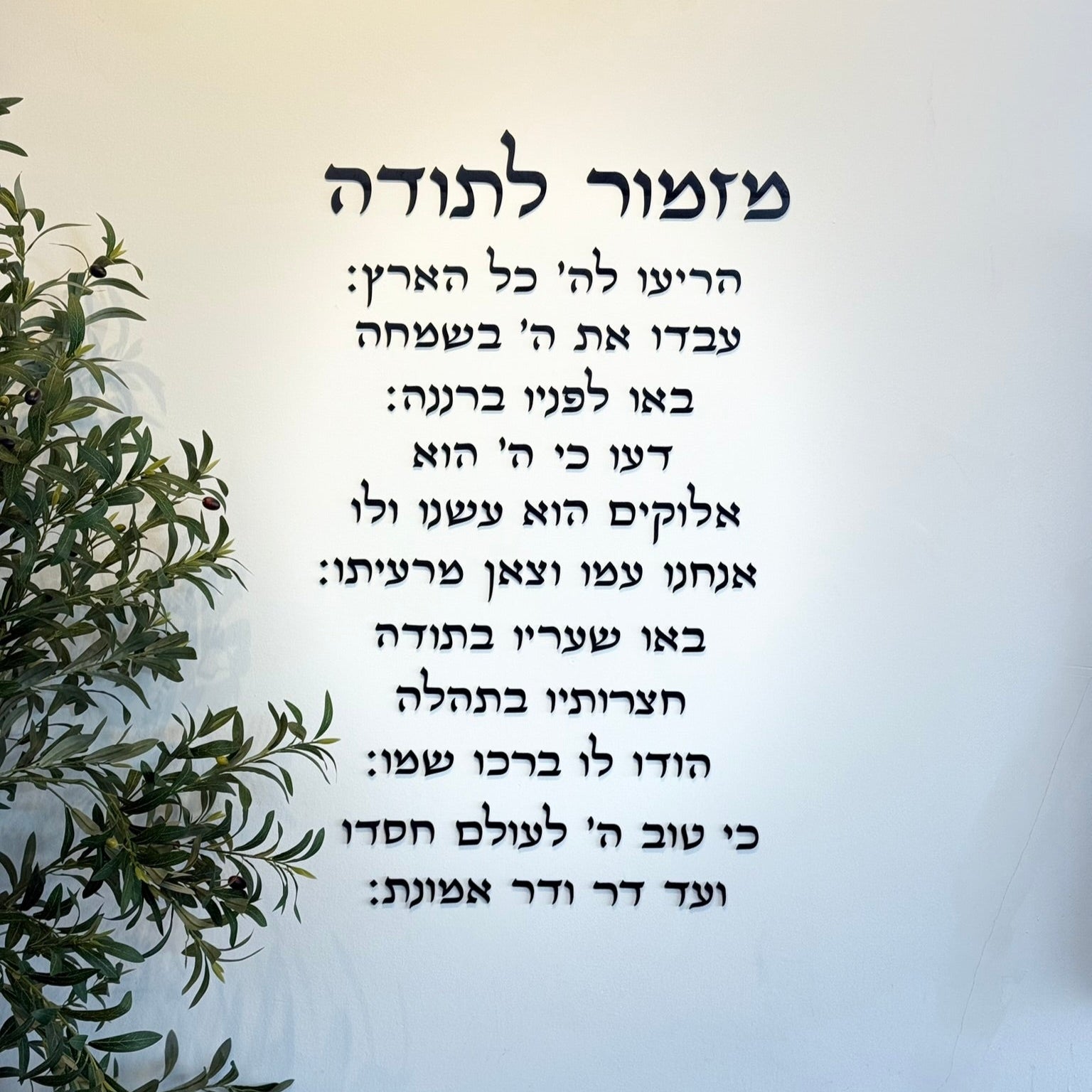 מזמור לתודה | אותיות בולטות | ליה-צבע שחור | ברכה