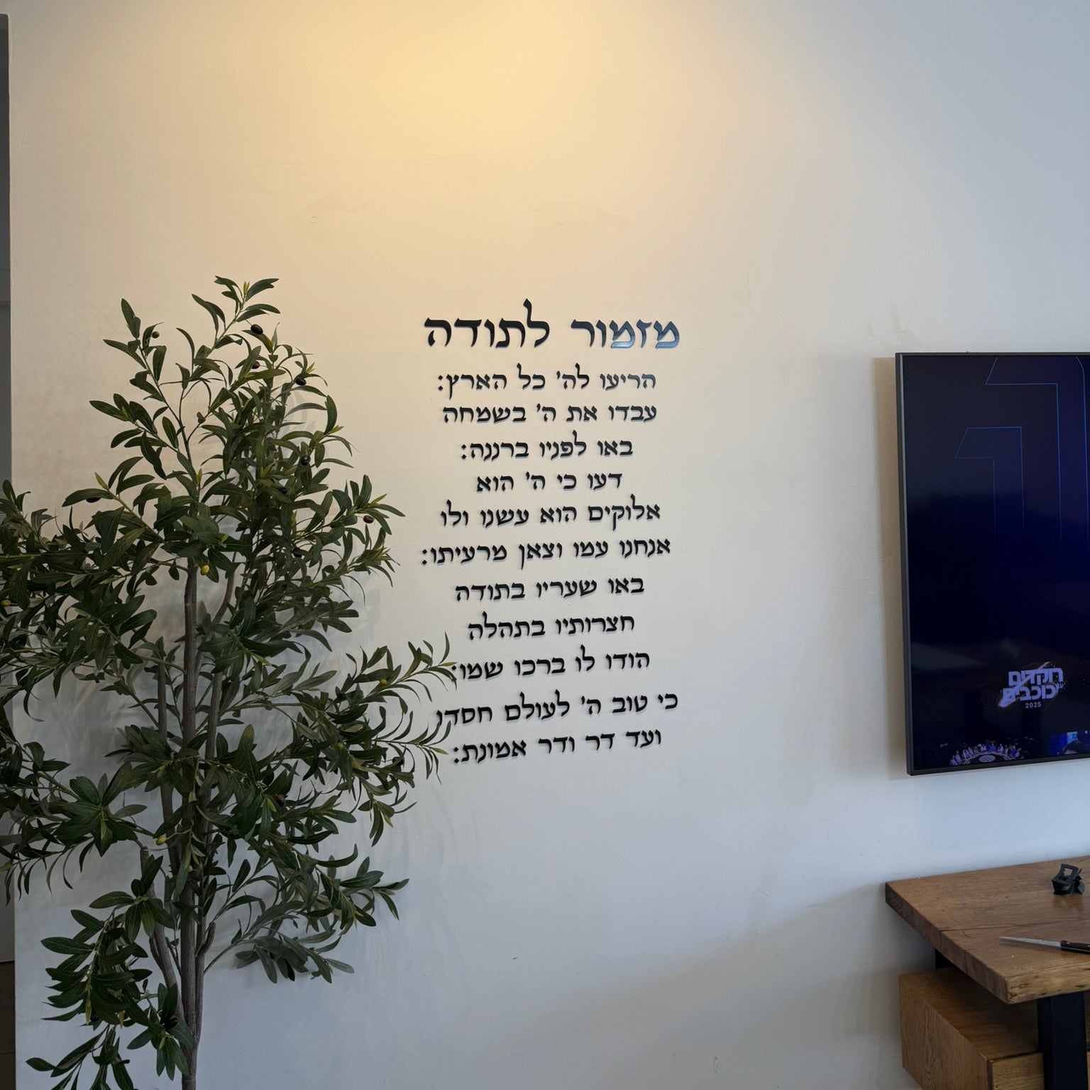 מזמור לתודה | אותיות בולטות | ליה-צבע שחור | ברכה