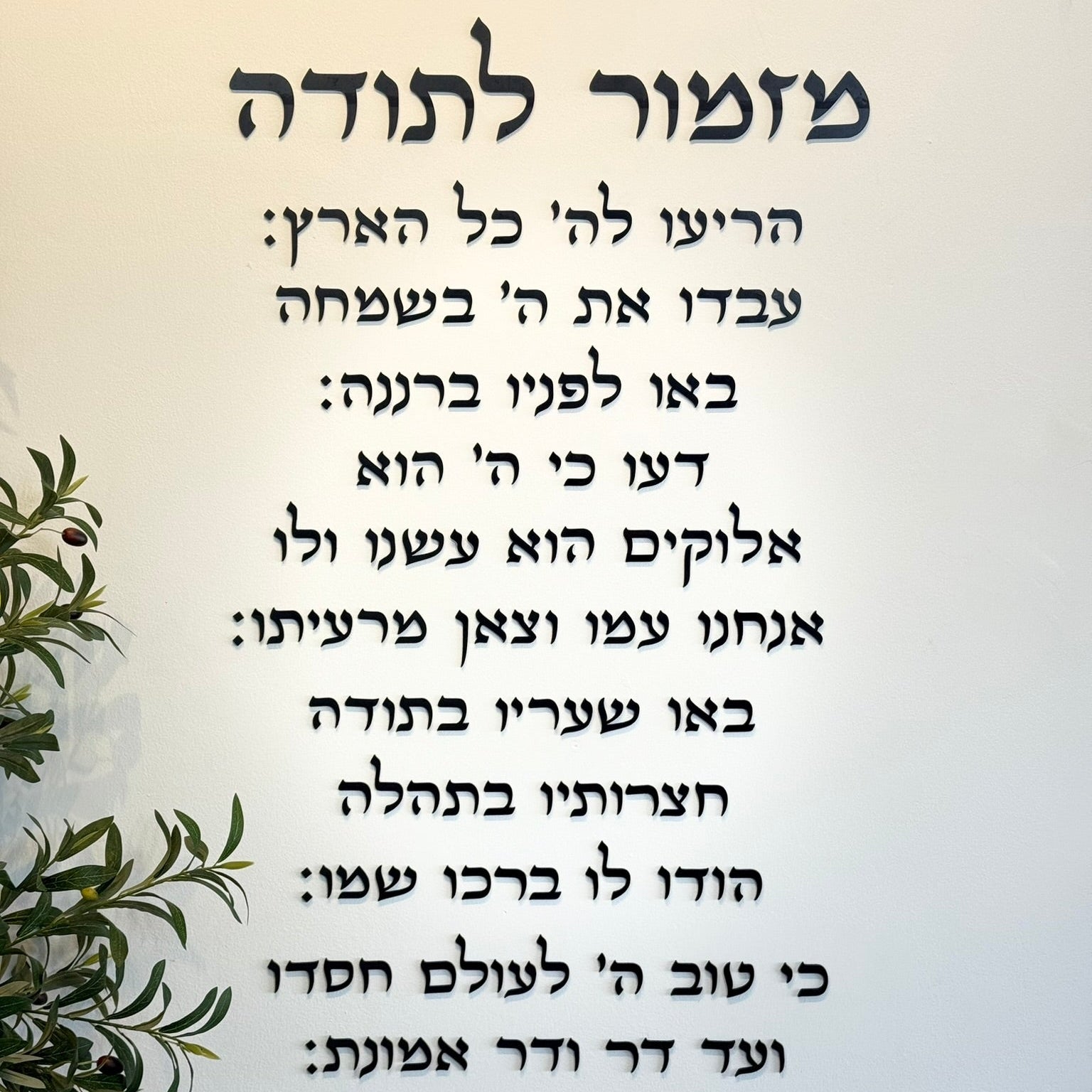מזמור לתודה | אותיות בולטות | ליה-צבע שחור | ברכה