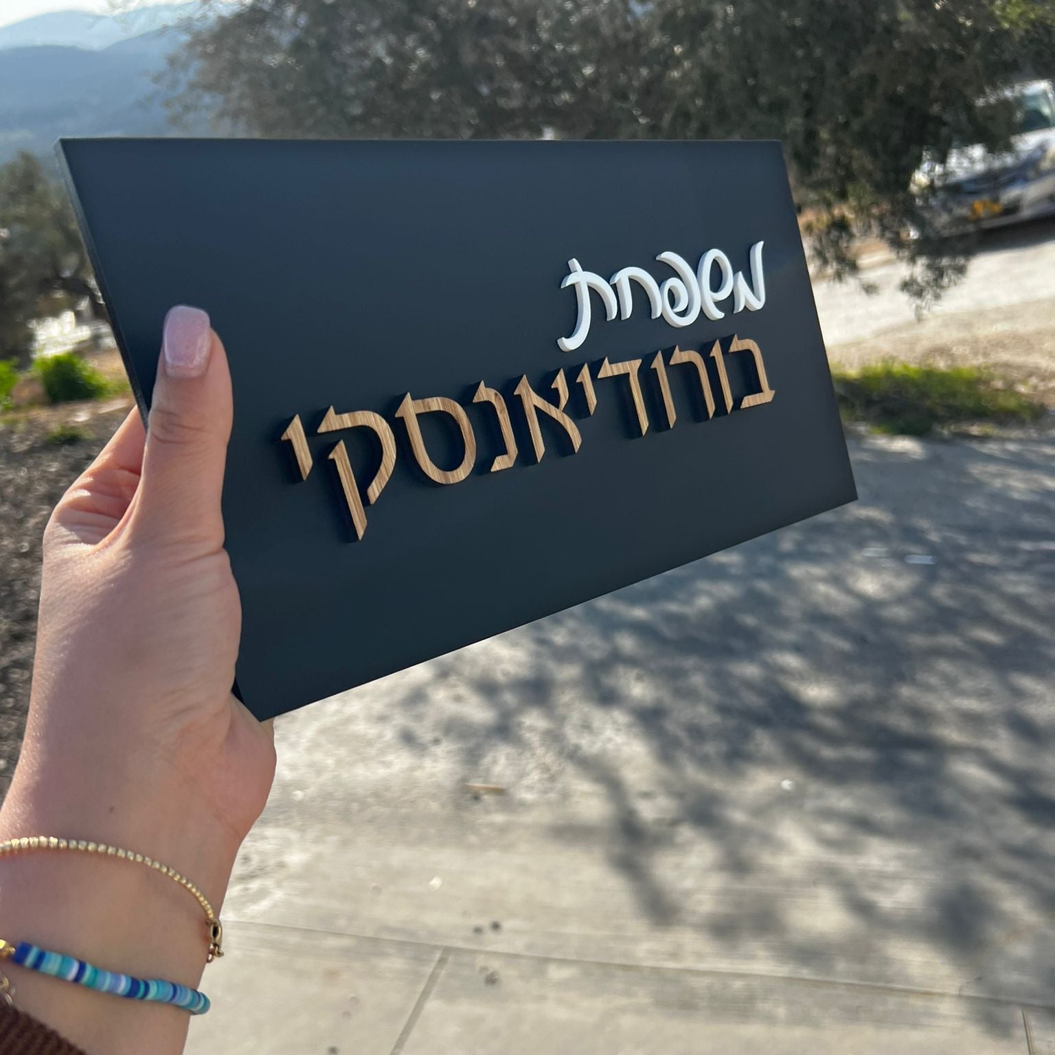 משפחת בורודיאנסקי | שלט לדלת